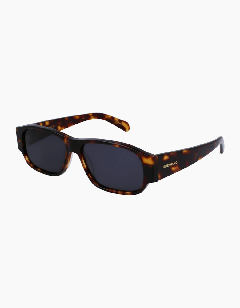 Ferragamo SF1109S571424 GLASSES
