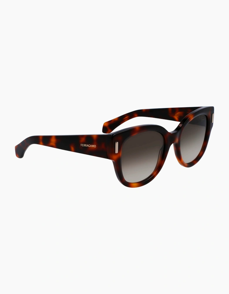 Ferragamo SF2007S-240 GLASSES