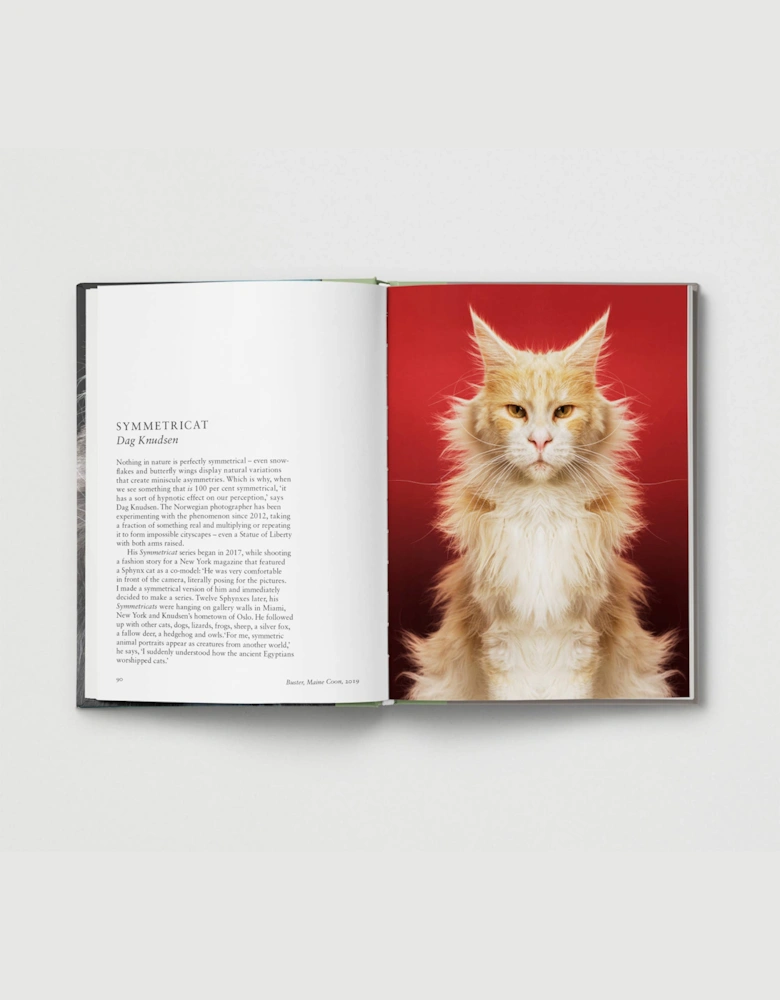 Hoxton Mini Press New Photography Of The Cat