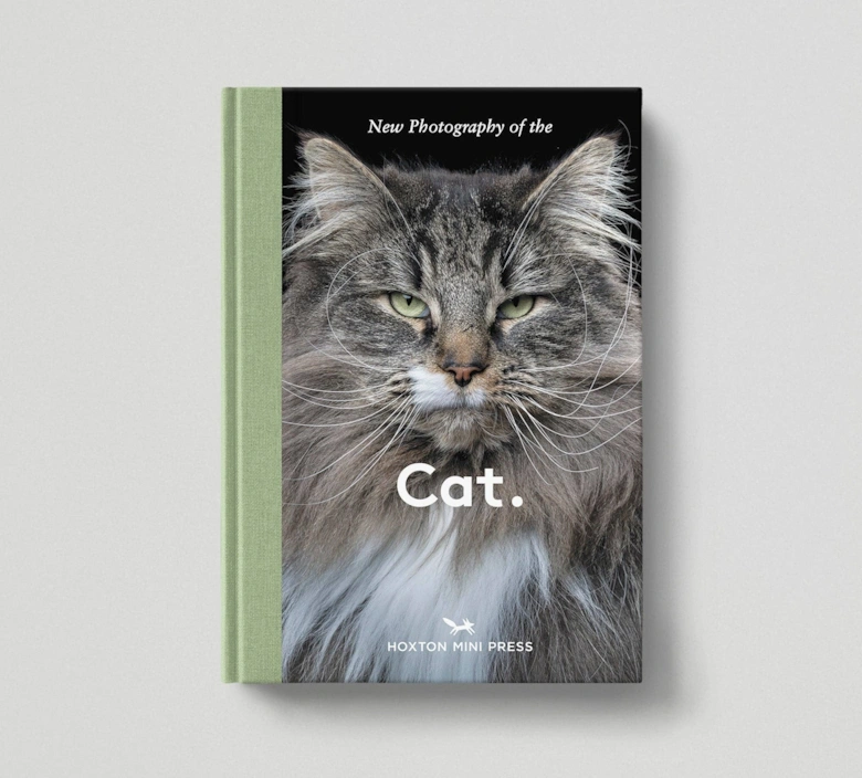 Hoxton Mini Press New Photography Of The Cat