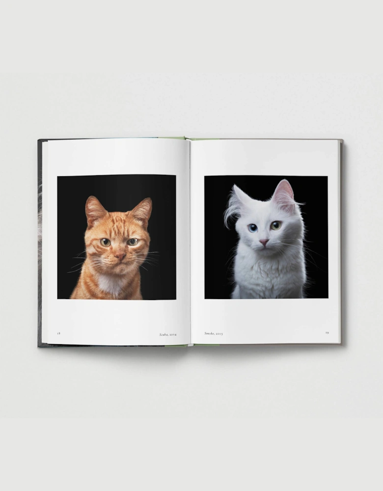 Hoxton Mini Press New Photography Of The Cat
