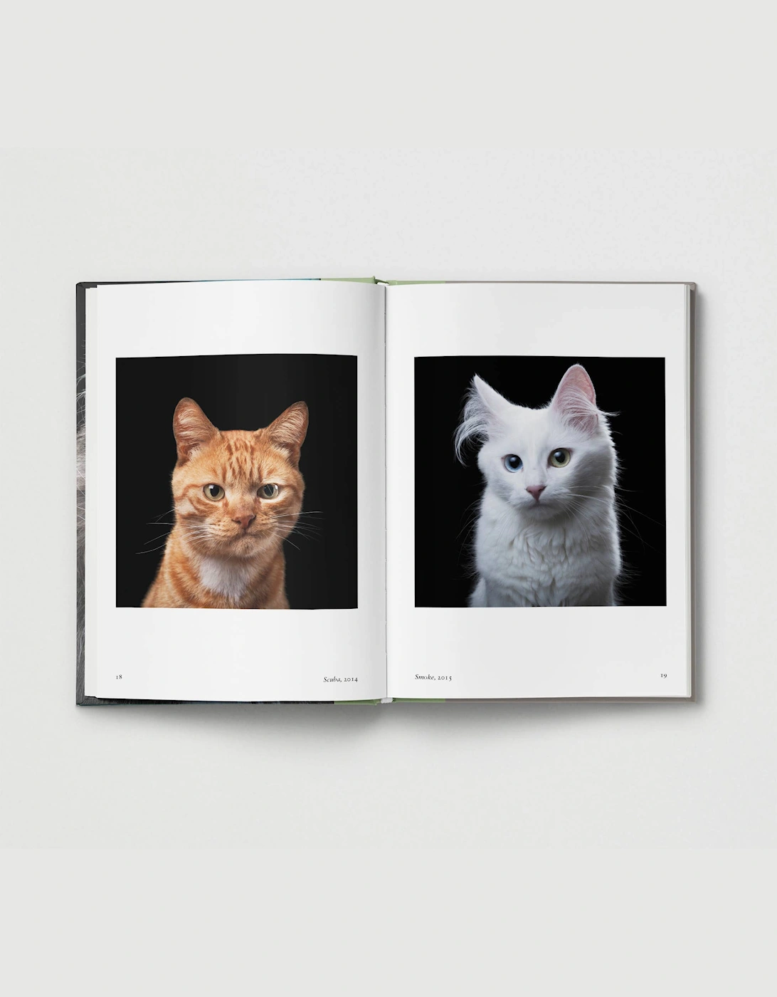 Hoxton Mini Press New Photography Of The Cat