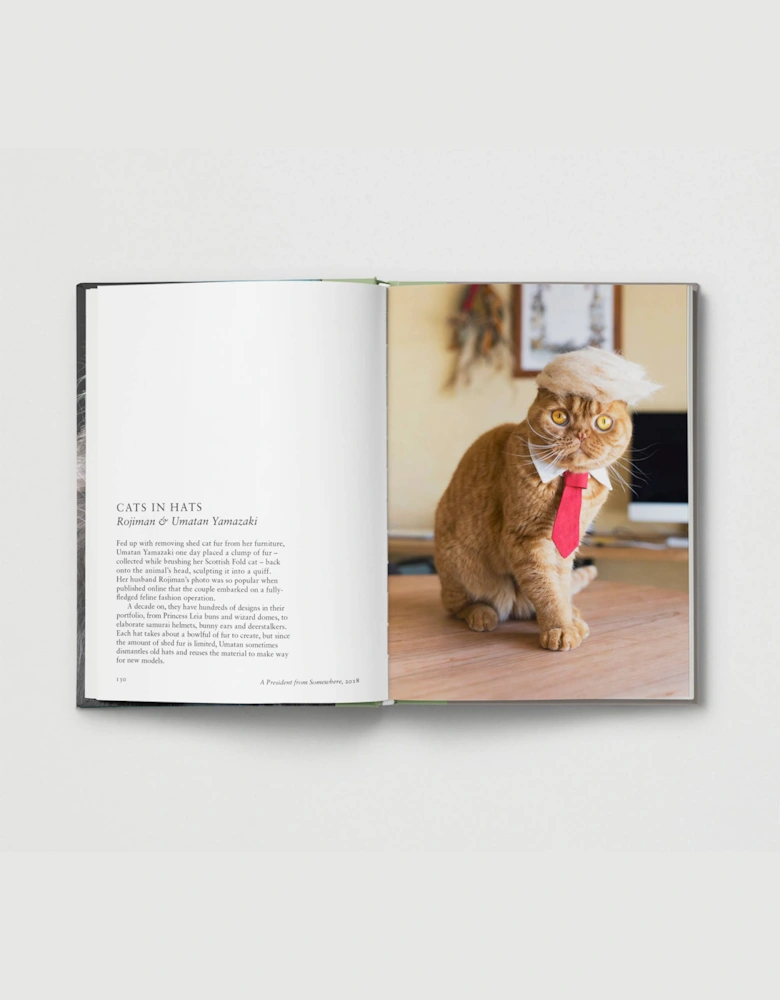 Hoxton Mini Press New Photography Of The Cat