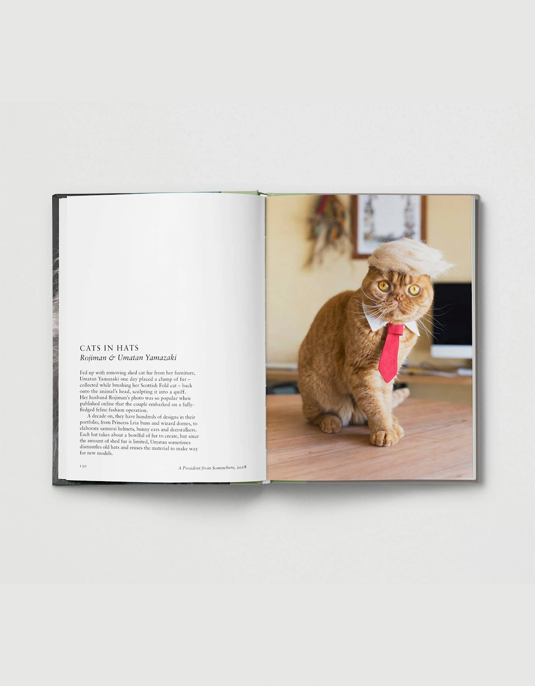 Hoxton Mini Press New Photography Of The Cat