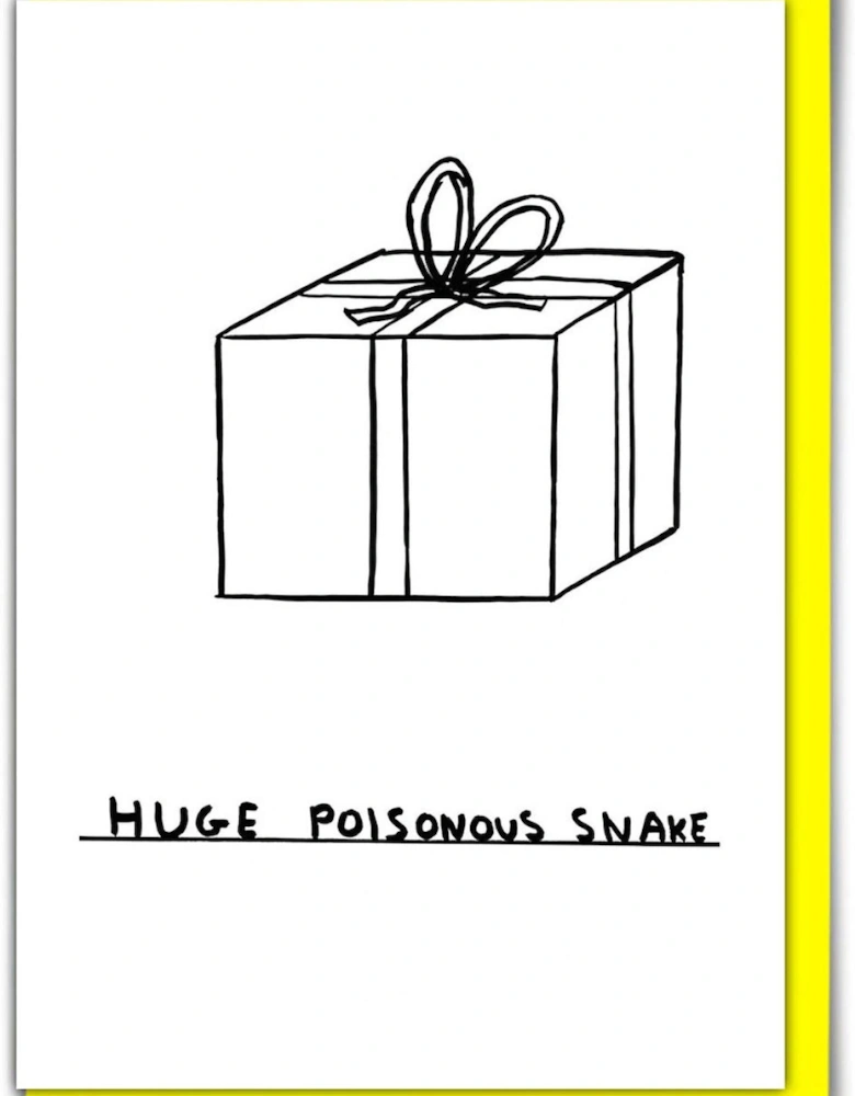 David Shrigley Huge Snake Birthday Card