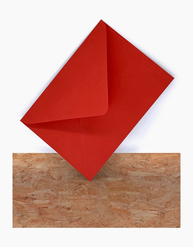 David Shrigley Fucking Ace Christmas Card