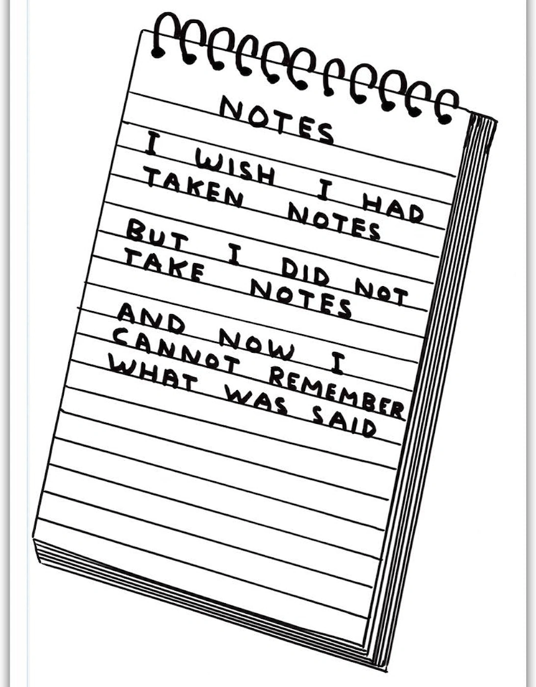David Shrigley Funny A5 Notebook Wish I'd Taken Notes Gift