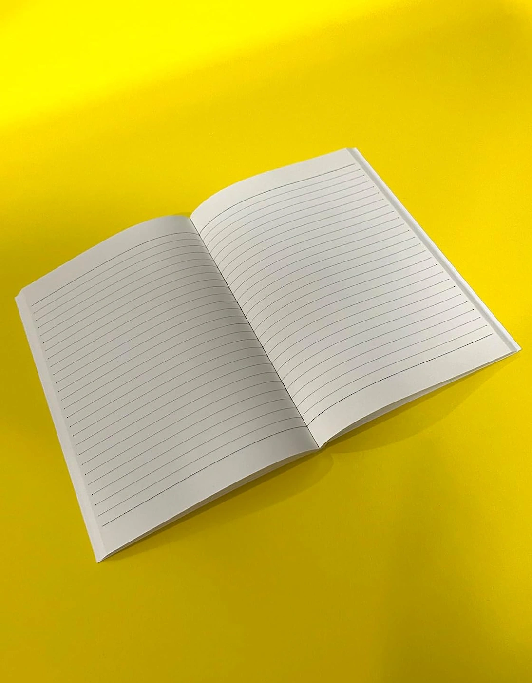 David Shrigley Funny A5 Notebook Wish I'd Taken Notes Gift