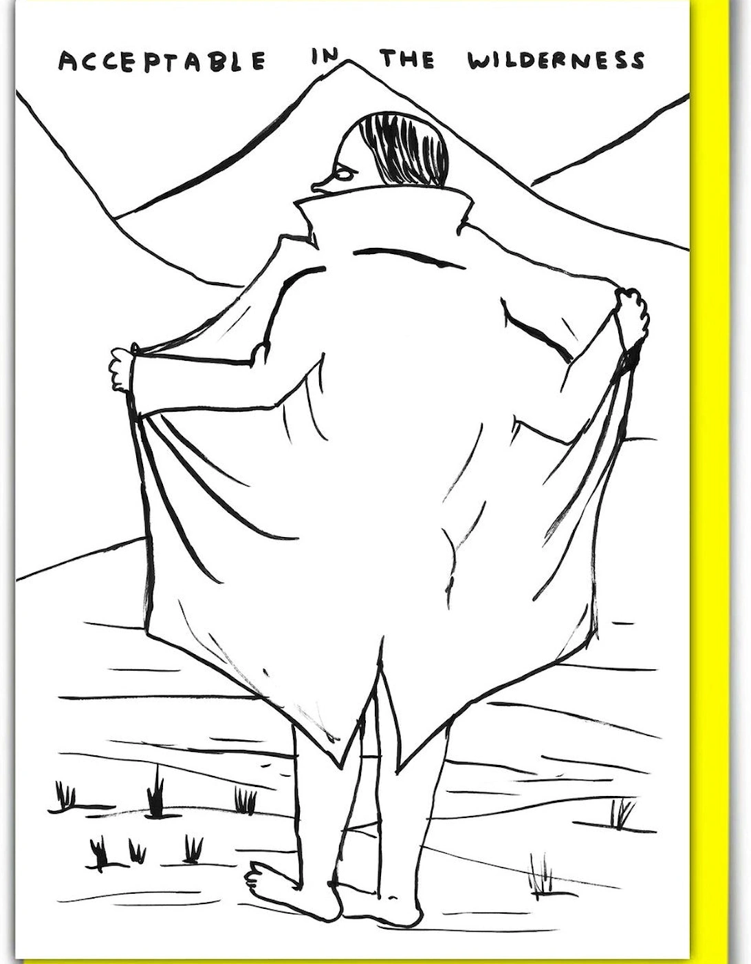 David Shrigley Funny Acceptable In The Wilderness Birthday Card