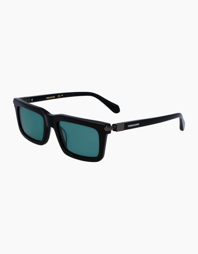 Ferragamo SF2015S532000 GLASSES