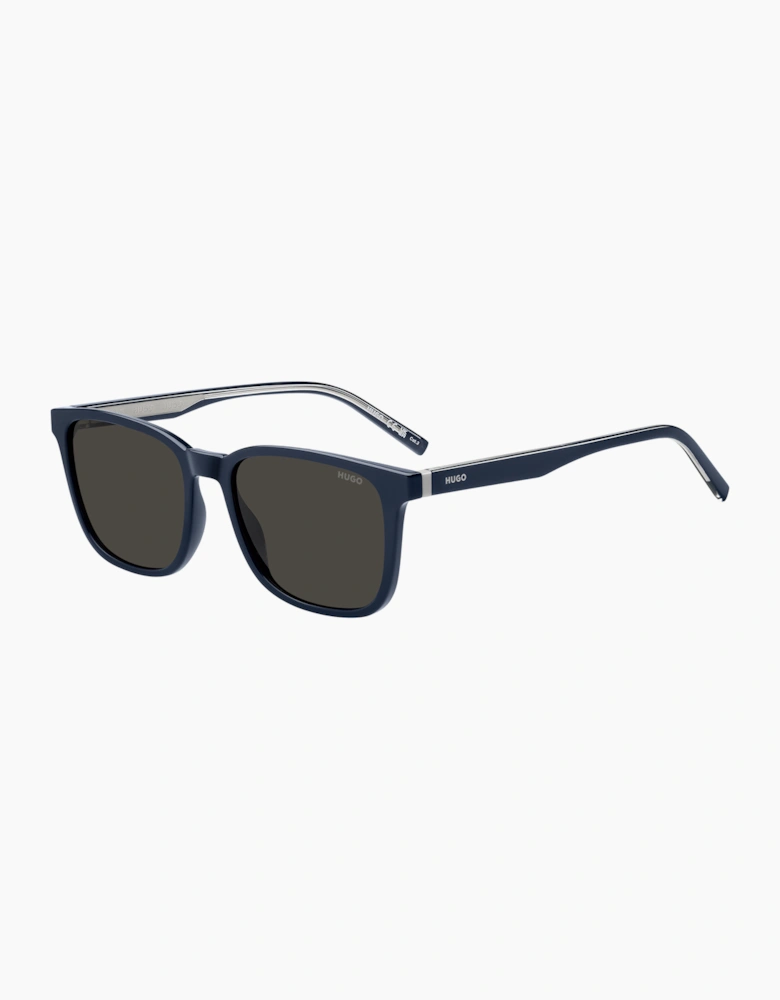 Hugo HG-1356-S-PJP GLASSES