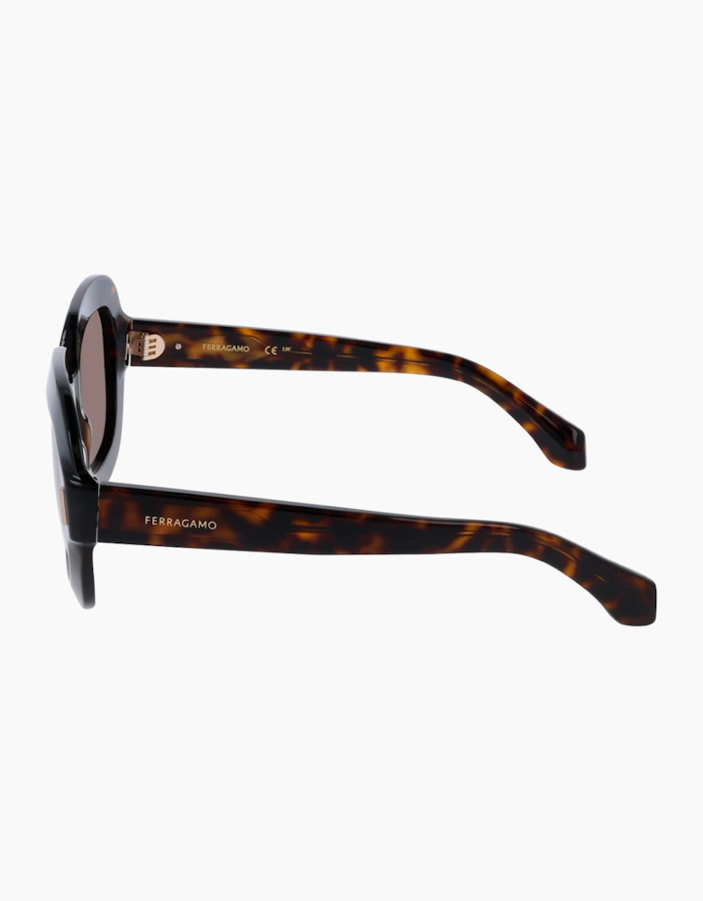Ferragamo SF2068SE-242 GLASSES