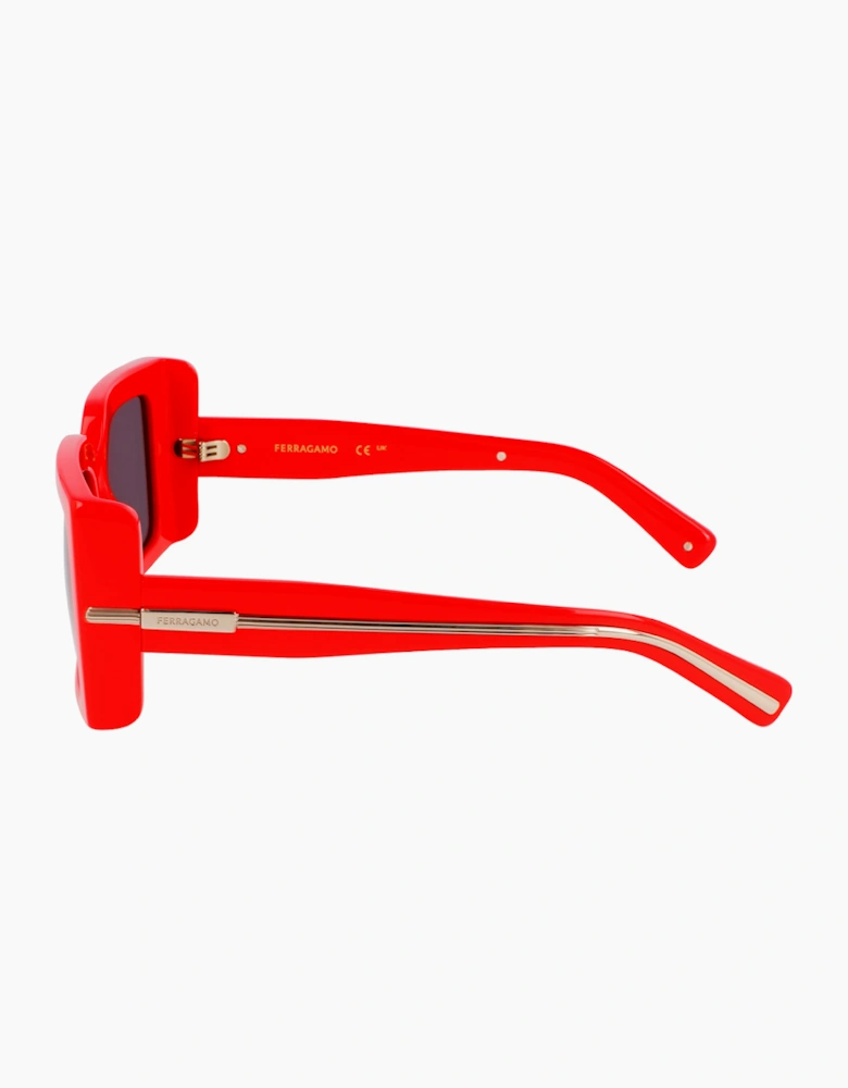 Ferragamo SF2032S-600 GLASSES