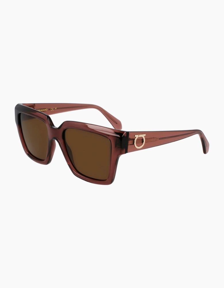 Ferragamo SF2014S-511 GLASSES