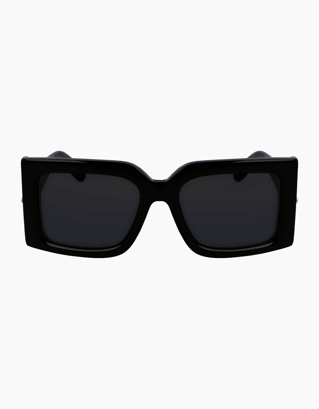 Ferragamo SF2032S-1 GLASSES