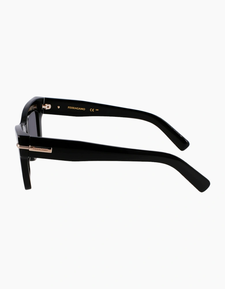 Ferragamo SF2031S-1 GLASSES