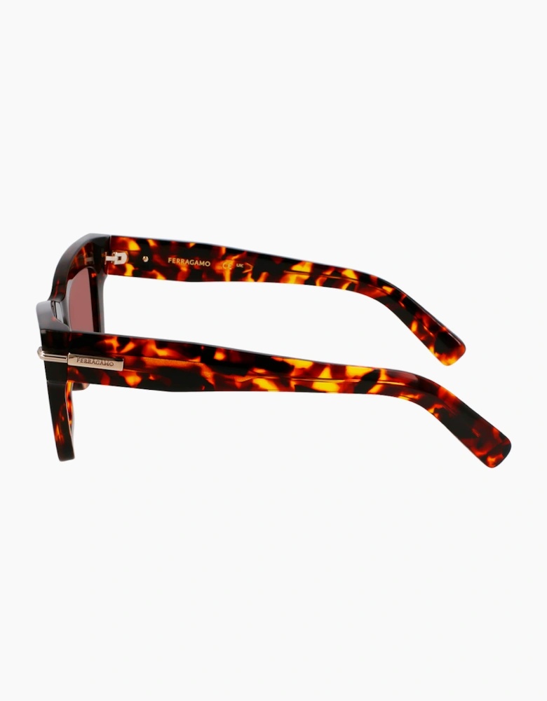 Ferragamo SF2031S-242 GLASSES