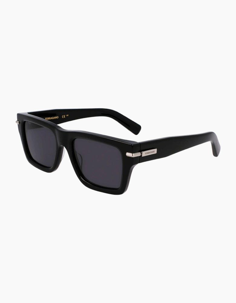 Ferragamo SF2033S-1 GLASSES