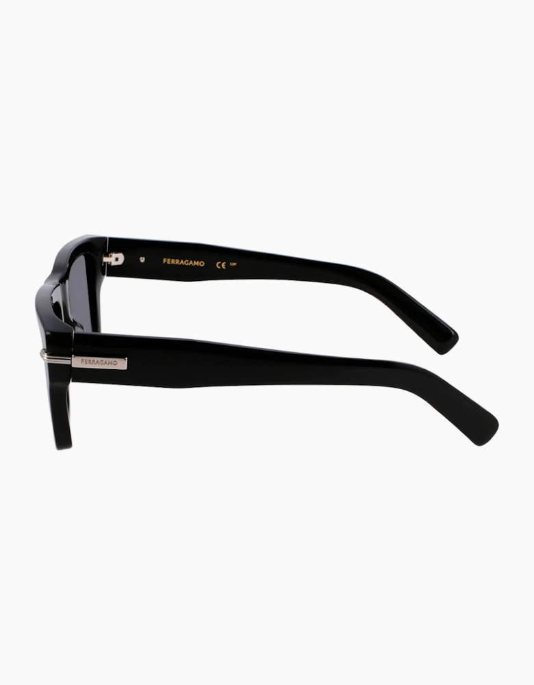 Ferragamo SF2033S-1 GLASSES