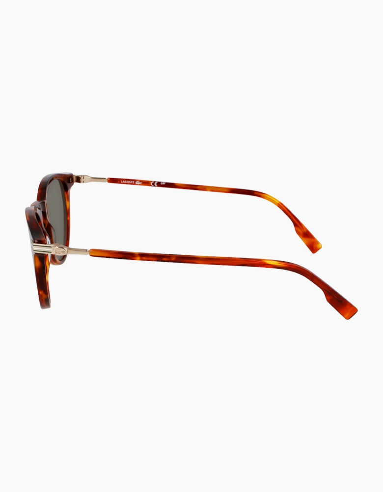 Lacoste L6034S-218 GLASSES