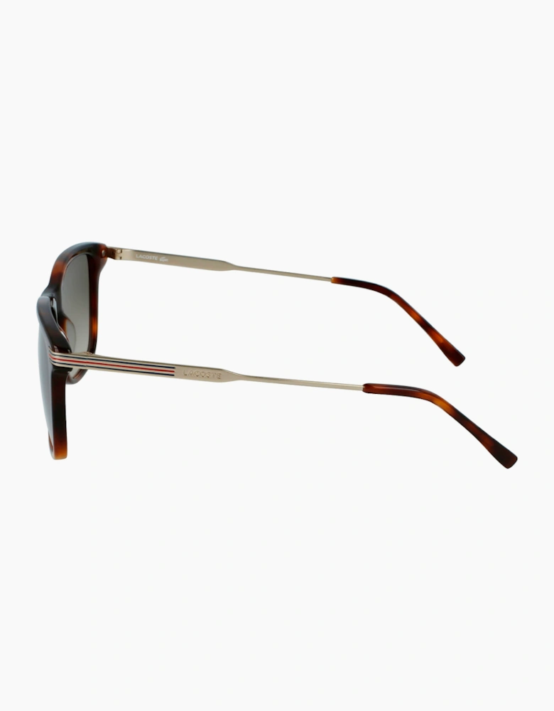 Lacoste L960S-N-230 GLASSES