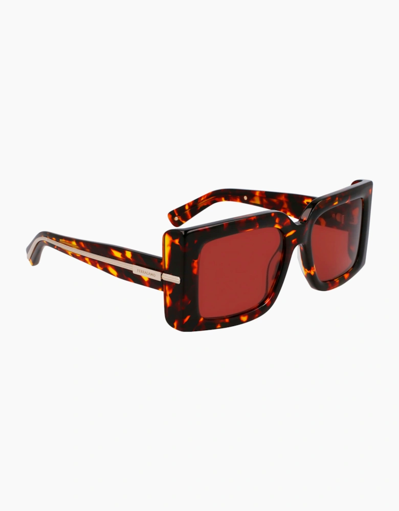 Ferragamo SF2032S-242 GLASSES