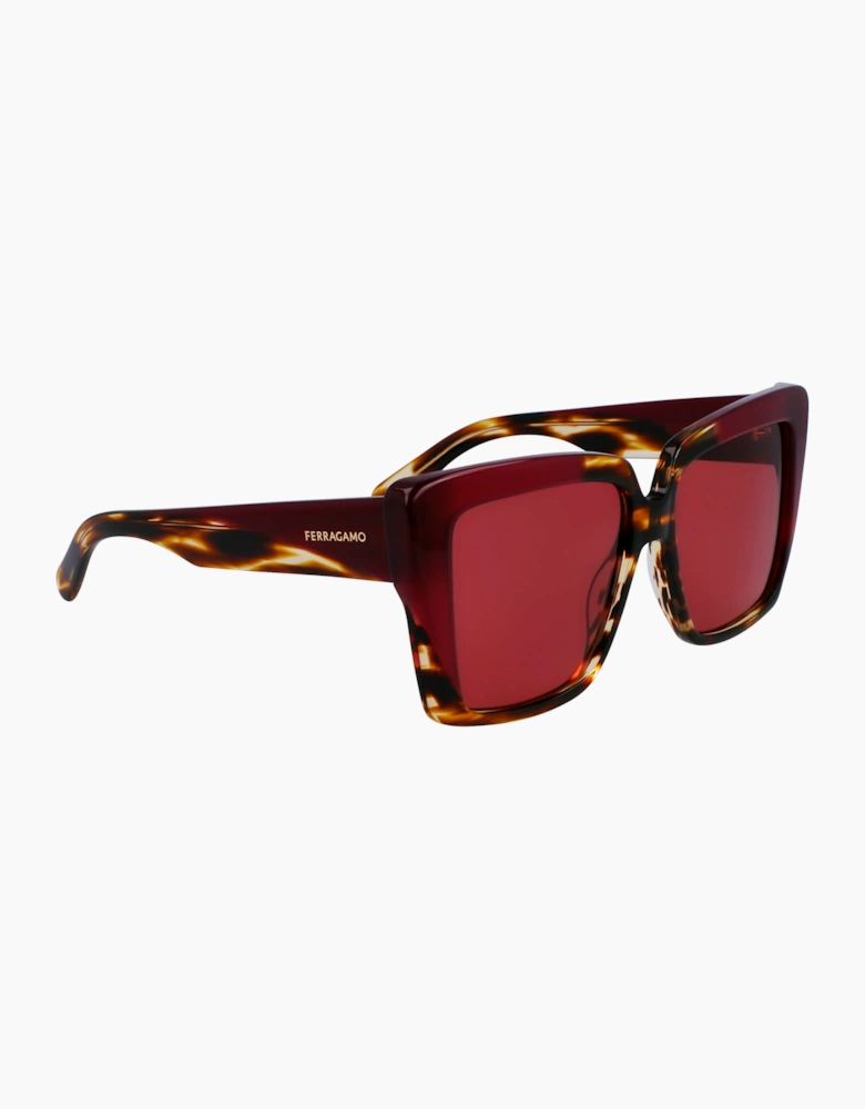 Ferragamo SF1060SN-215 GLASSES