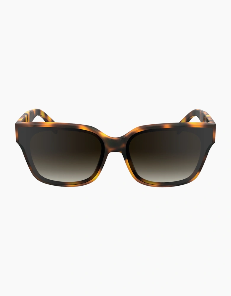 Karl lagerfeld KL6161S-240 GLASSES