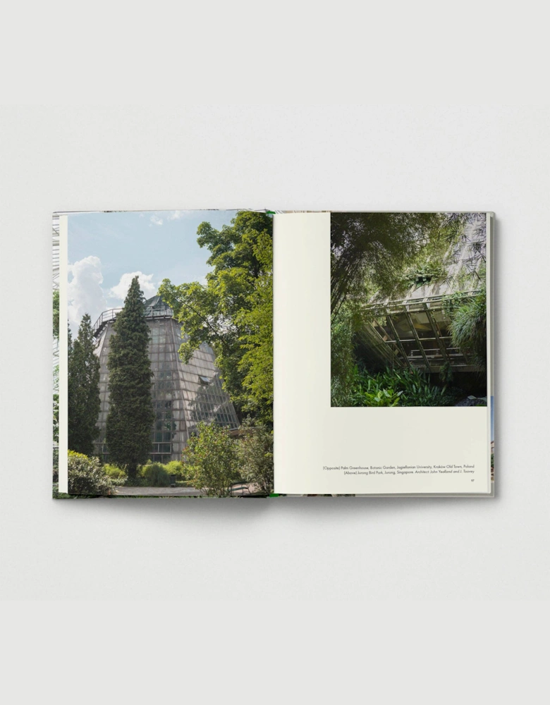 Brutalist Plants
