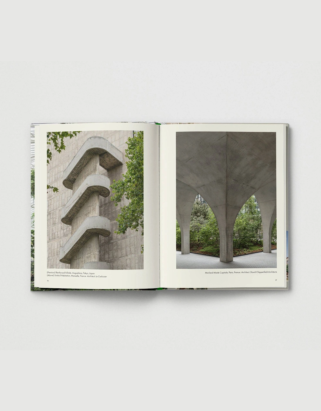 Brutalist Plants