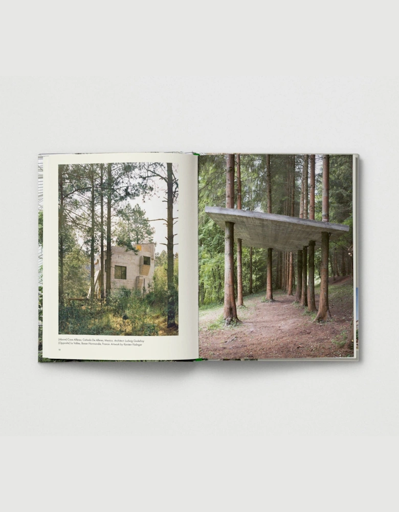 Brutalist Plants