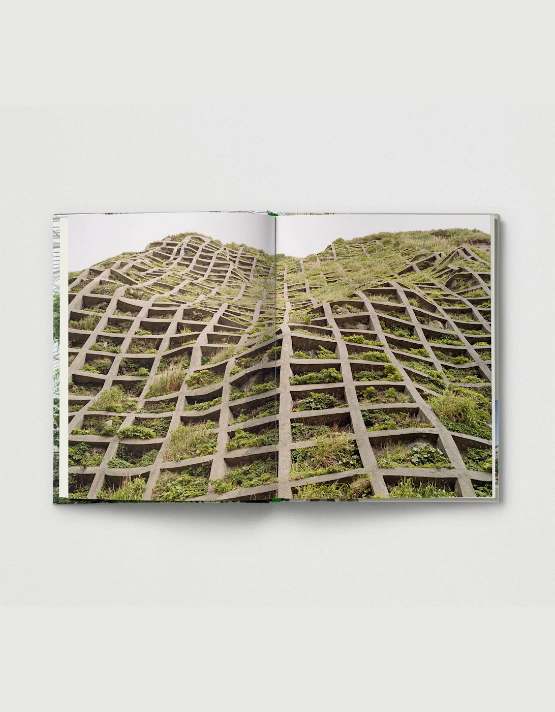 Brutalist Plants