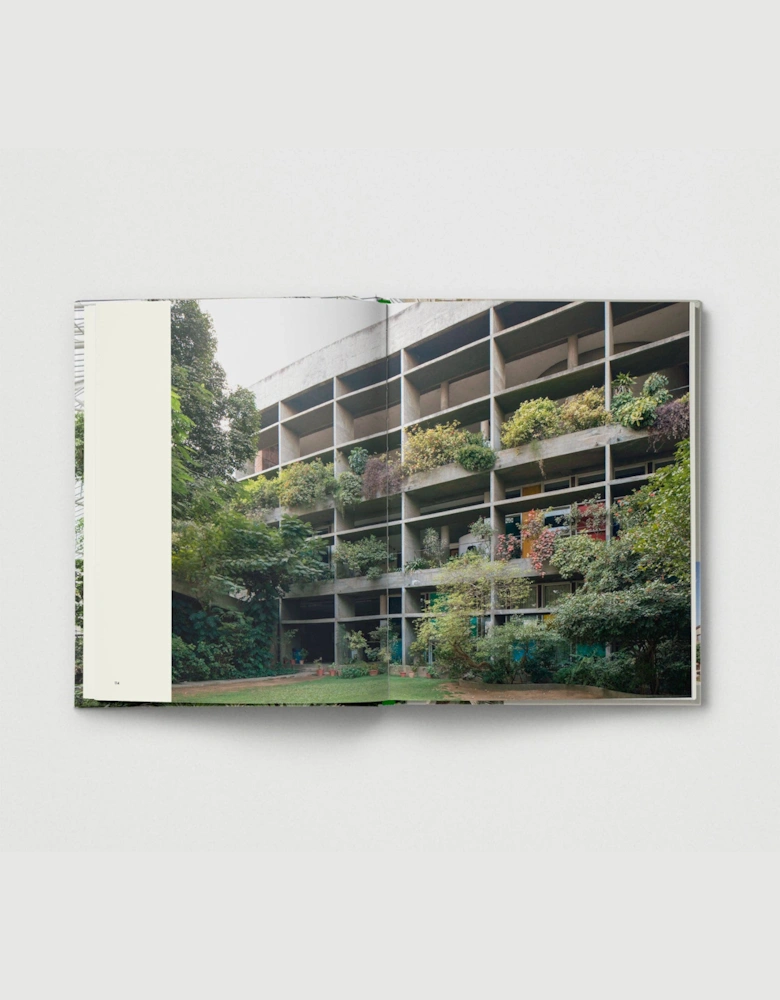 Brutalist Plants