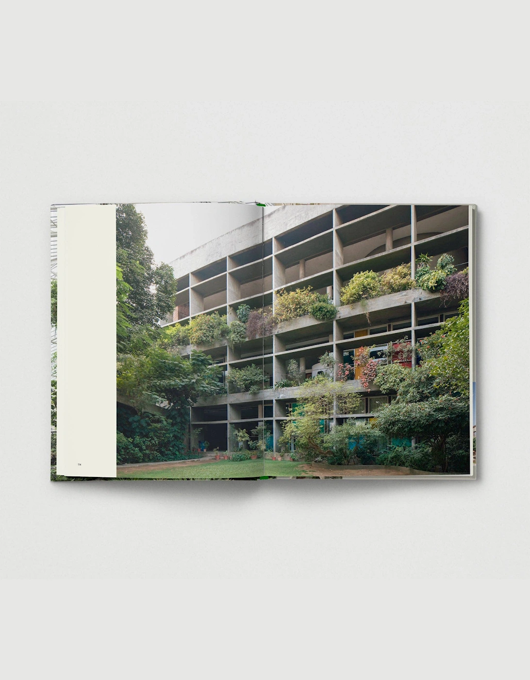 Brutalist Plants
