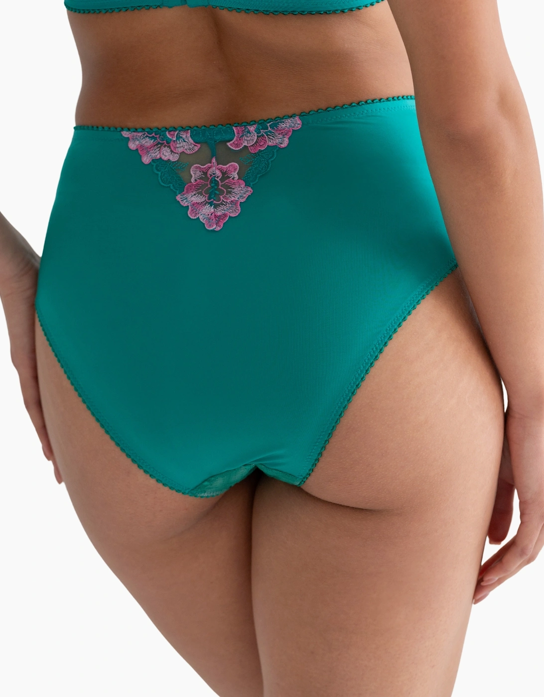 3834 Pour Moi Sofia Lace Embroidered Deep Brief