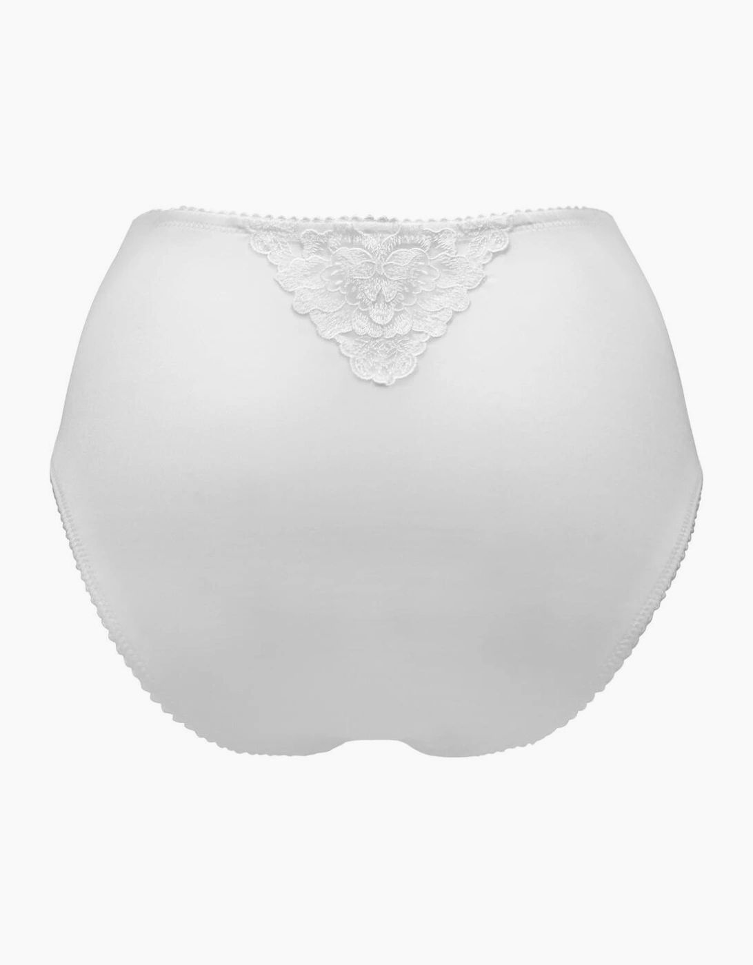 3834 Pour Moi Sofia Lace Embroidered Deep Brief