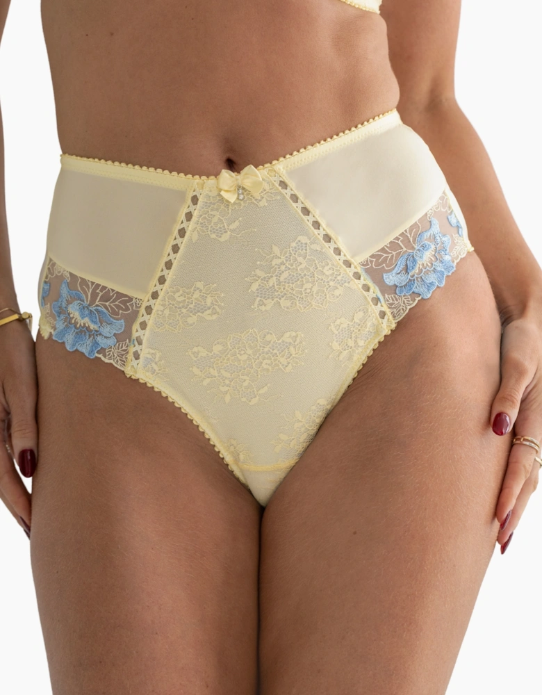 3834 Pour Moi Sofia Lace Embroidered Deep Brief