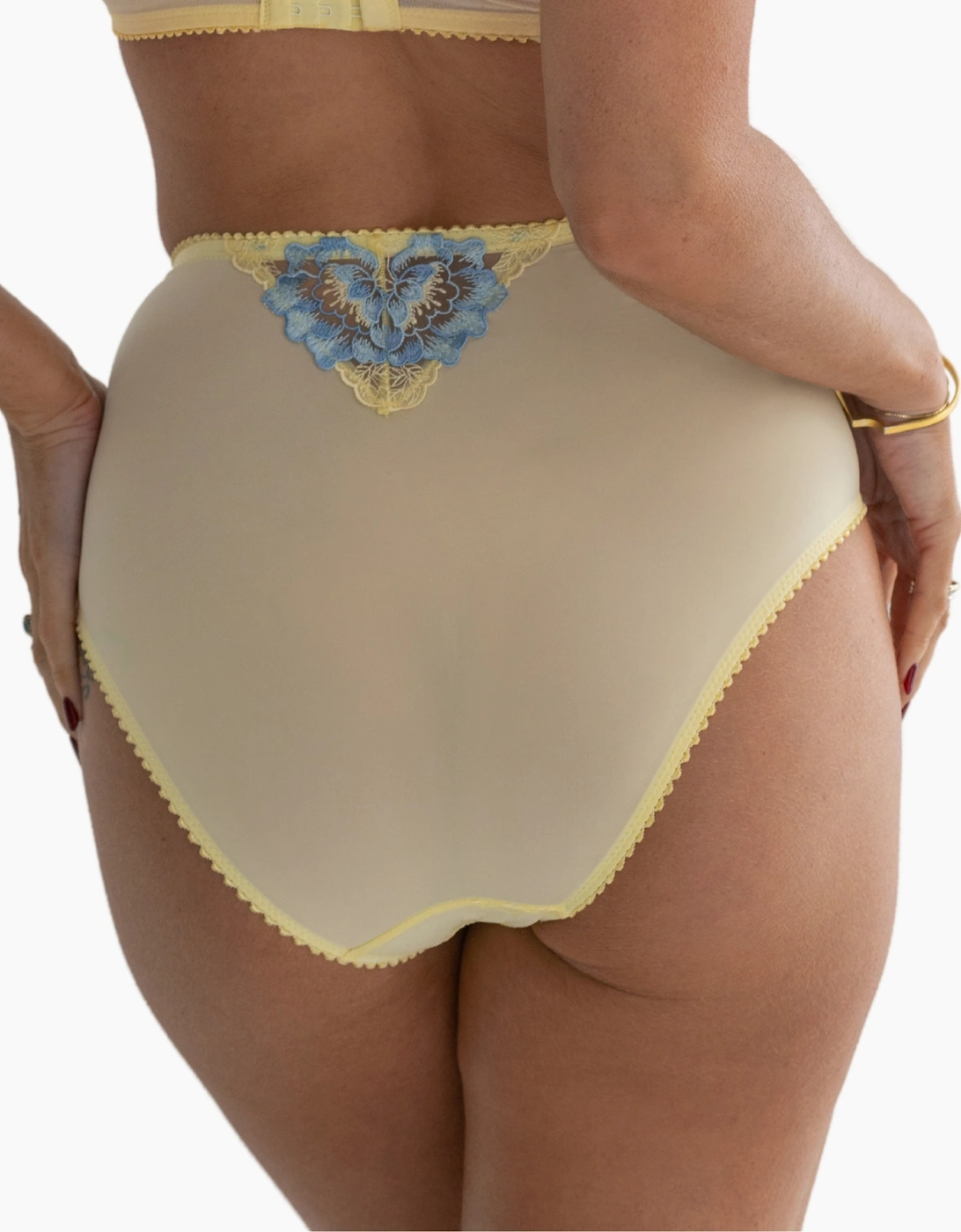 3834 Pour Moi Sofia Lace Embroidered Deep Brief