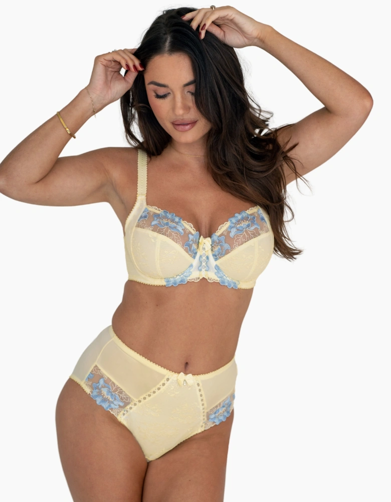 3834 Pour Moi Sofia Lace Embroidered Deep Brief