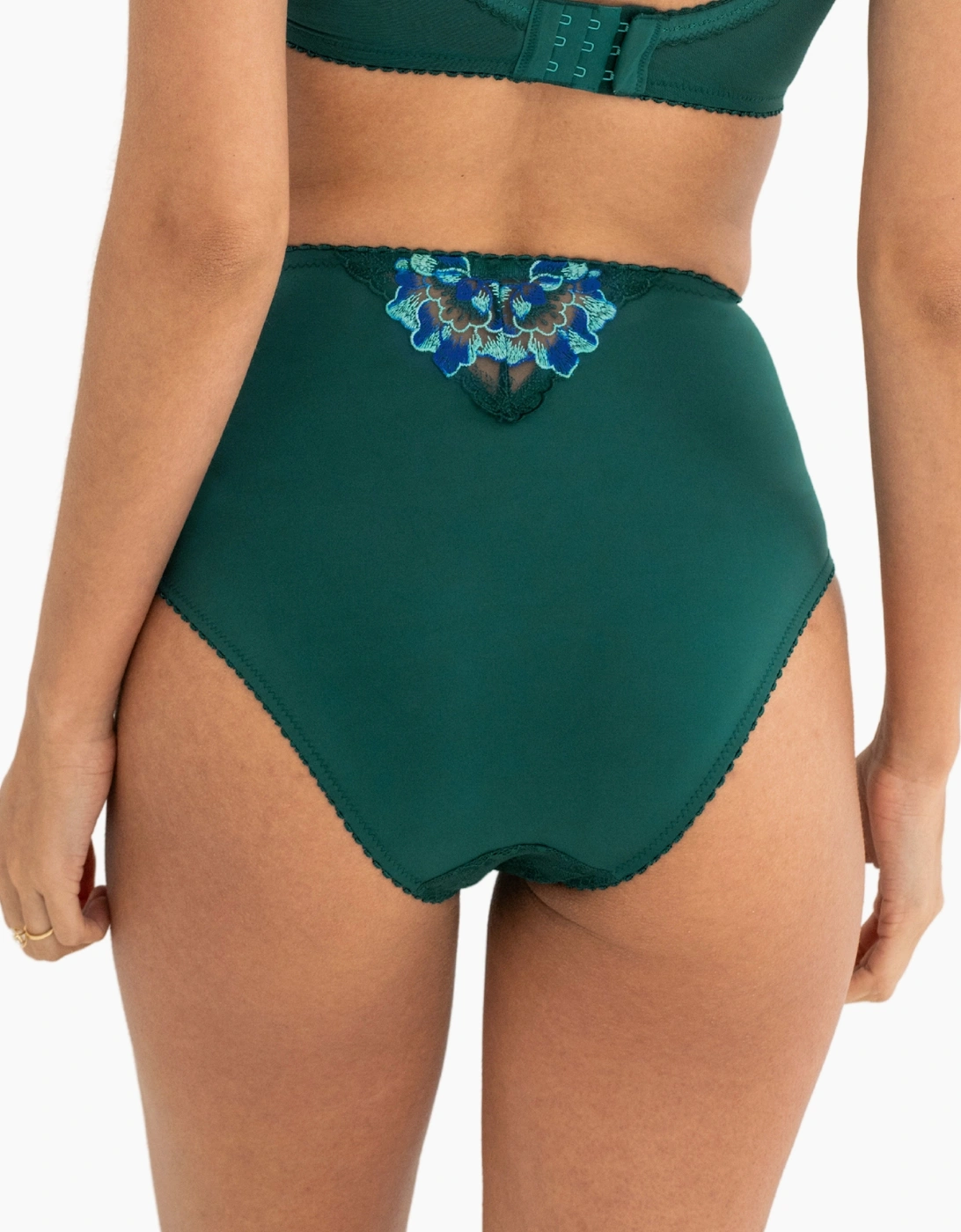 3834 Pour Moi Sofia Lace Embroidered Deep Brief