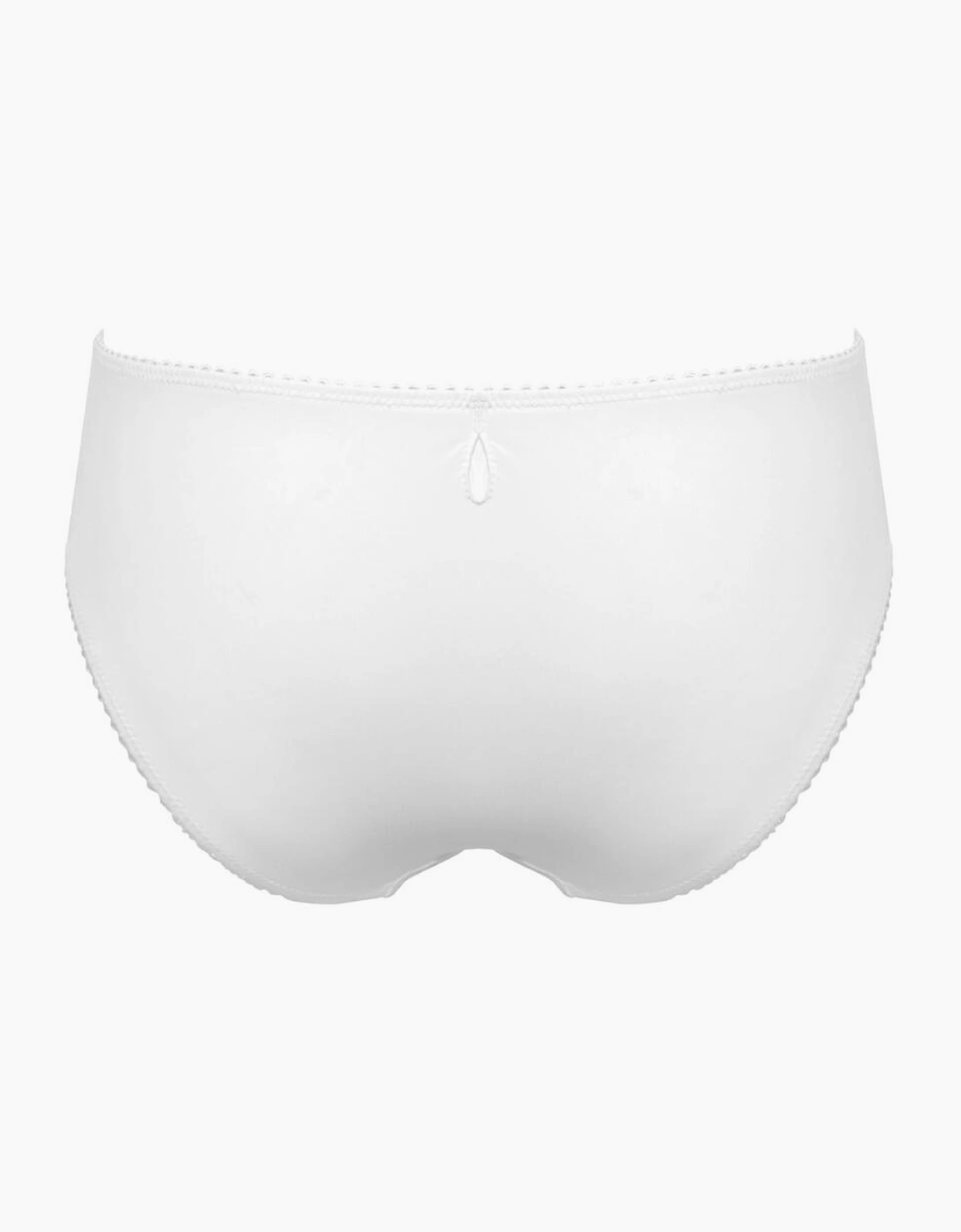 3826 Pour Moi Sofia Lace Embroidered Brief