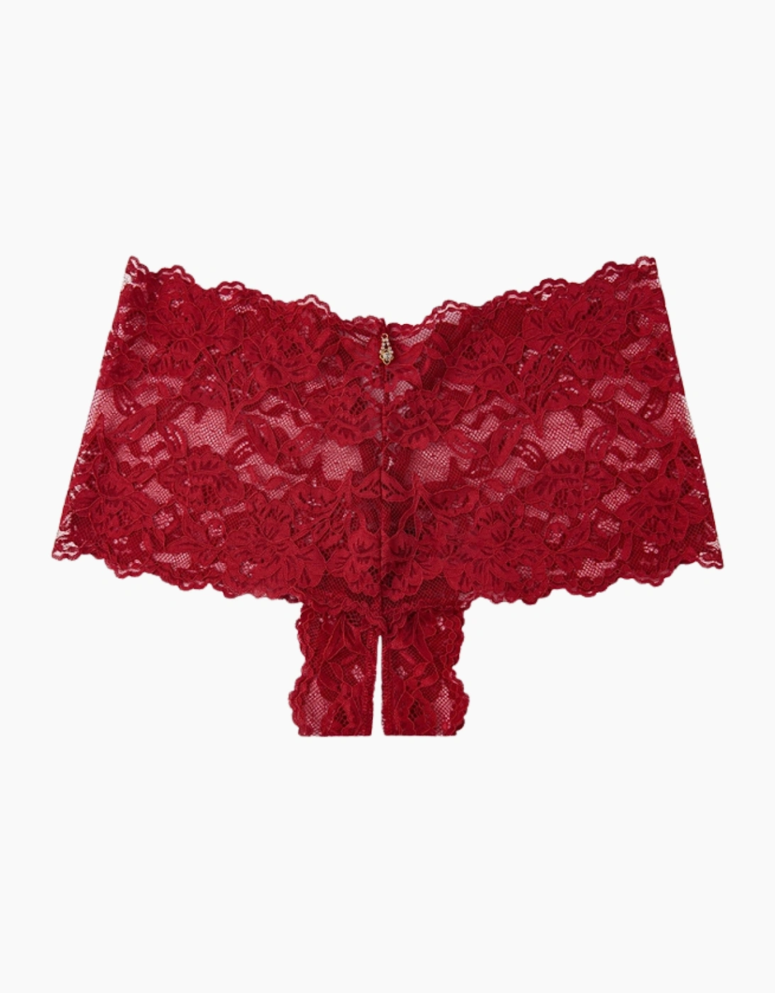Hd02209b House Of Desire Bella Lace Crotchless Cheeky Brazilian Brief