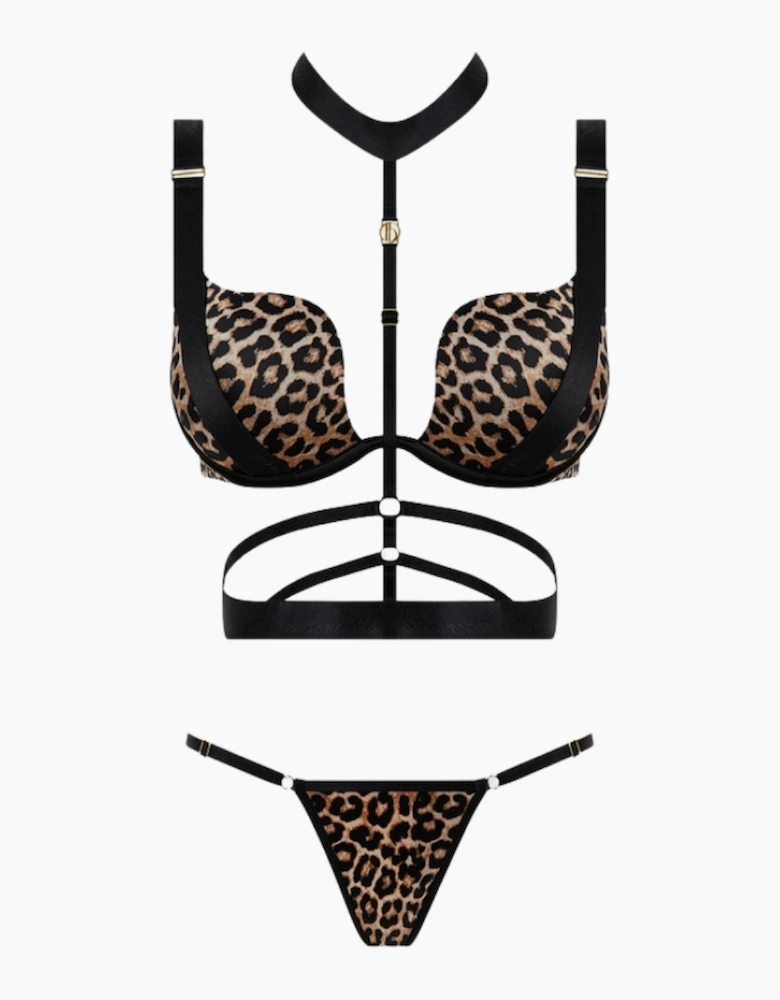 Hd01701d House Of Desire Devon Strappy Push Up Bra, Harness & Thong Set