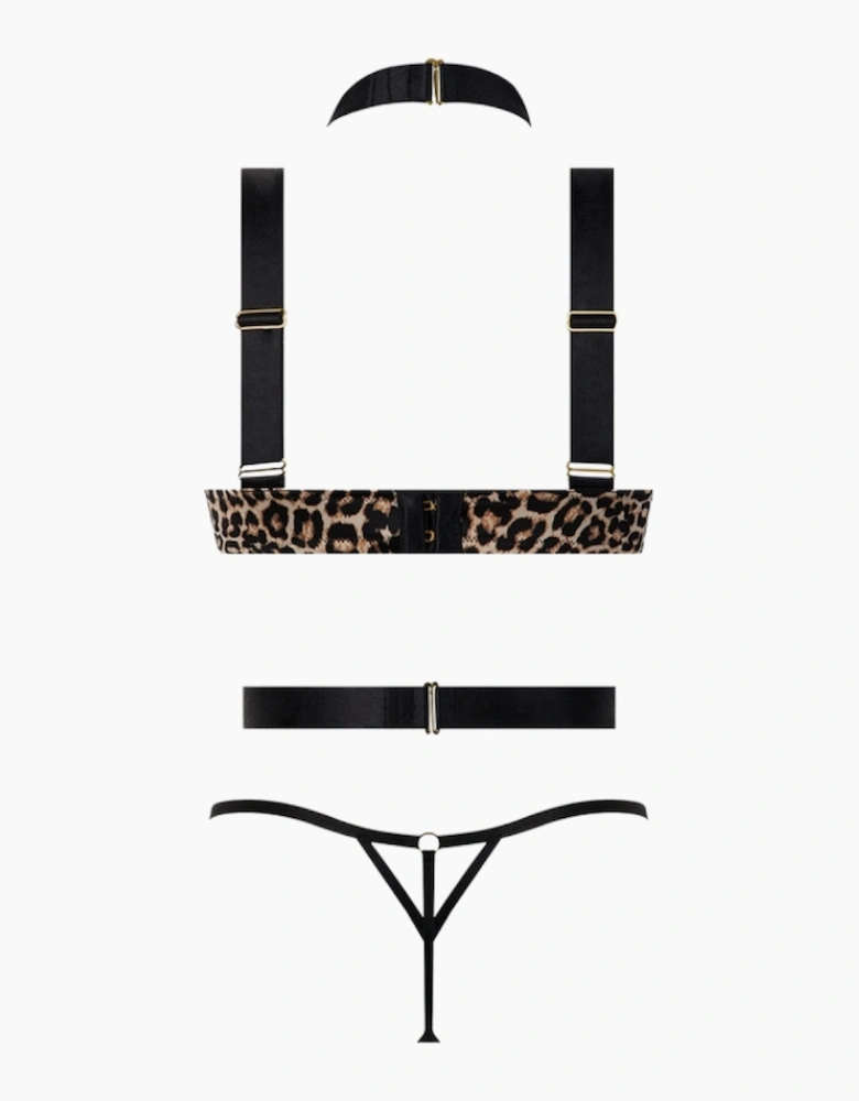 Hd01701d House Of Desire Devon Strappy Push Up Bra, Harness & Thong Set