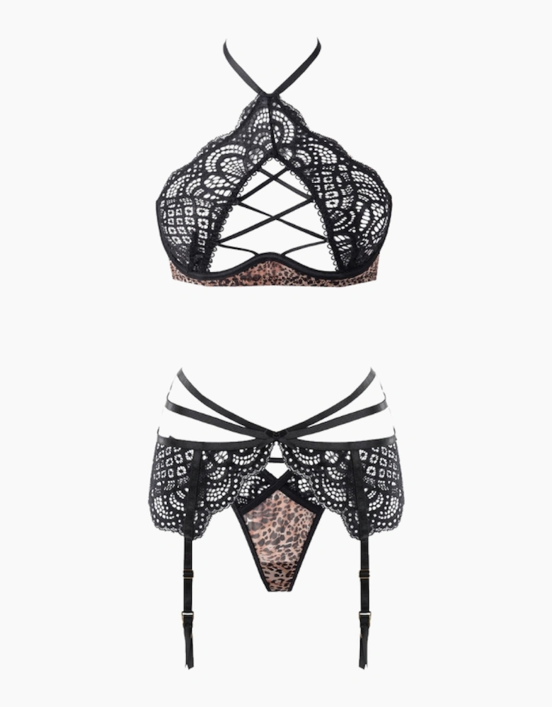 Hd03602a House Of Desire Felicia Mesh & Lace Bra, Garter & Thong Set