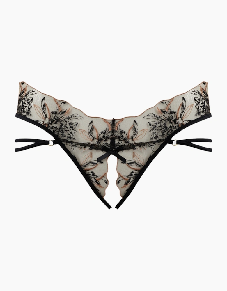 Hd06209a House Of Desire Delilah Embroidered Strappy Crotchless & Backless Hipster