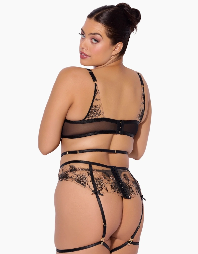Hd06202a House Of Desire Delilah Embroidered Push Up Bra, Garter And Thong Set