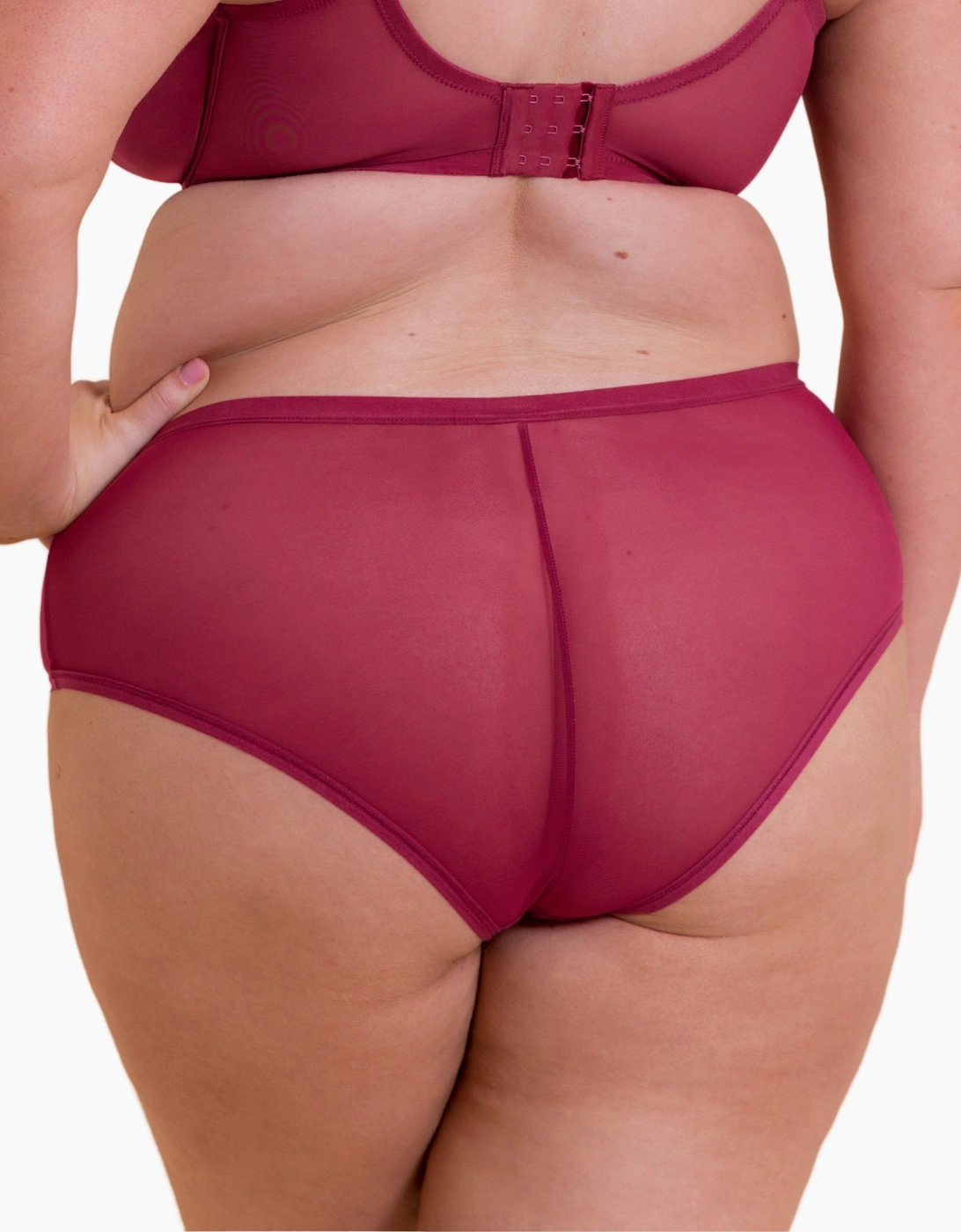 CK061201 Curvy Kate WonderFully Shorty Brief
