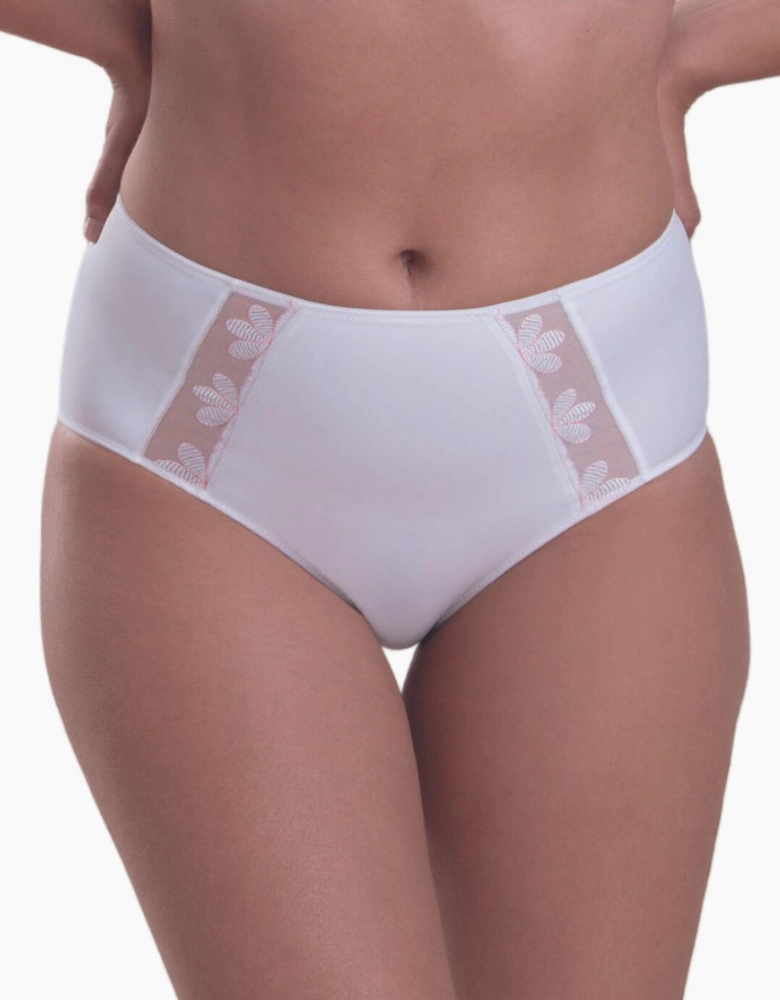 1309 Anita Sophia High Waist Brief