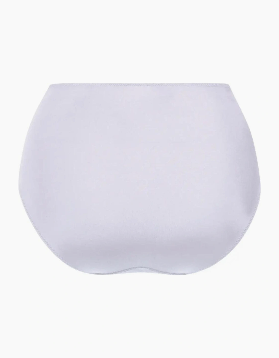 1309 Anita Sophia High Waist Brief